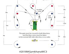 moto gymkhana training cours medium